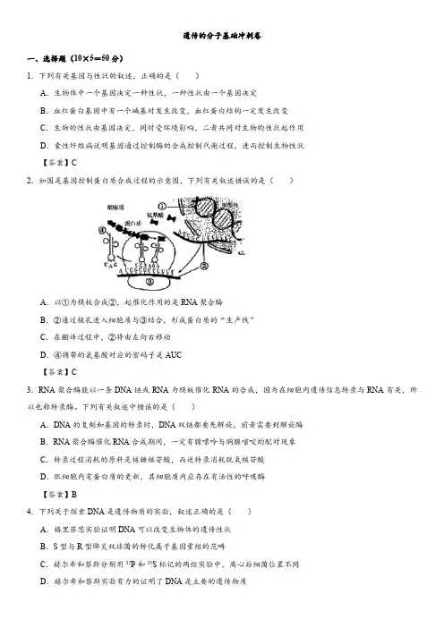 2018年高考生物最后冲刺热身卷：遗传的分子基础冲刺卷有答案