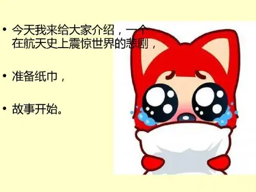 挑战号-PPT文档资料