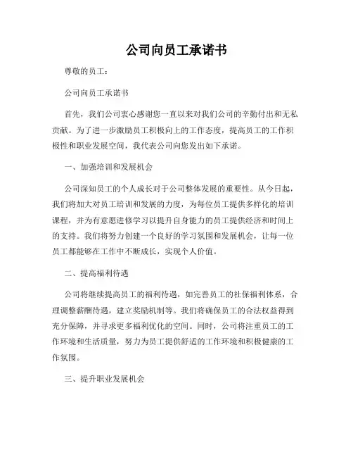 公司向员工承诺书