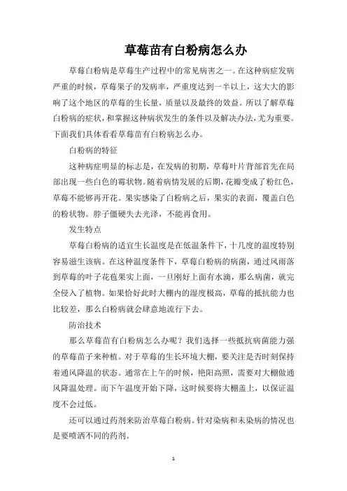 草莓苗有白粉病怎么办