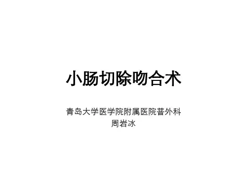 小肠切除吻合术PPT课件