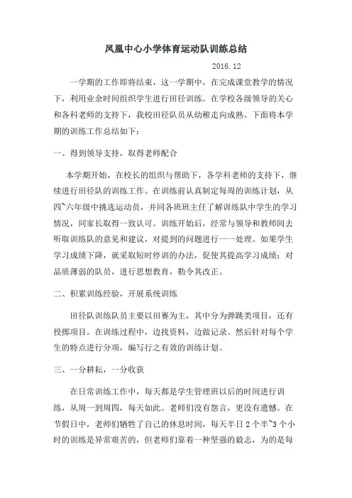 凤凰小学体训队训练总结