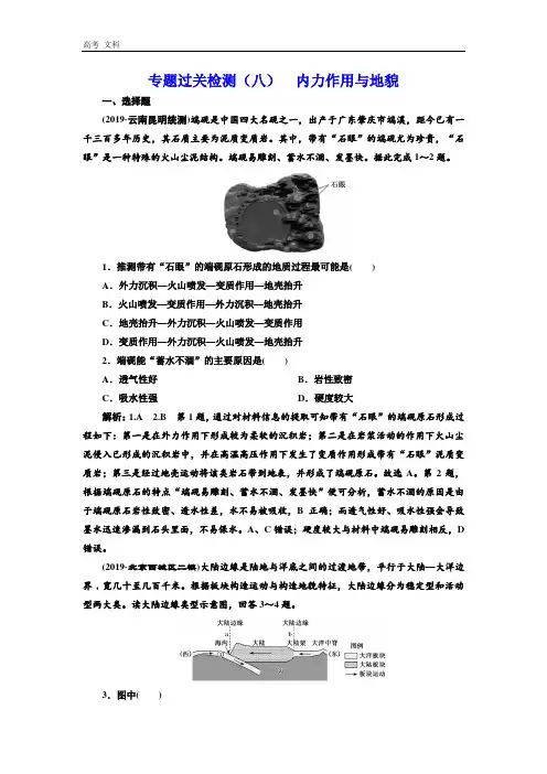 2020高考地理微专题突破专题过关检测：(八) 内力作用与地貌 