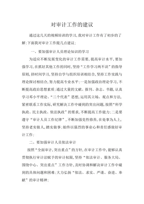 对审计工作的建议