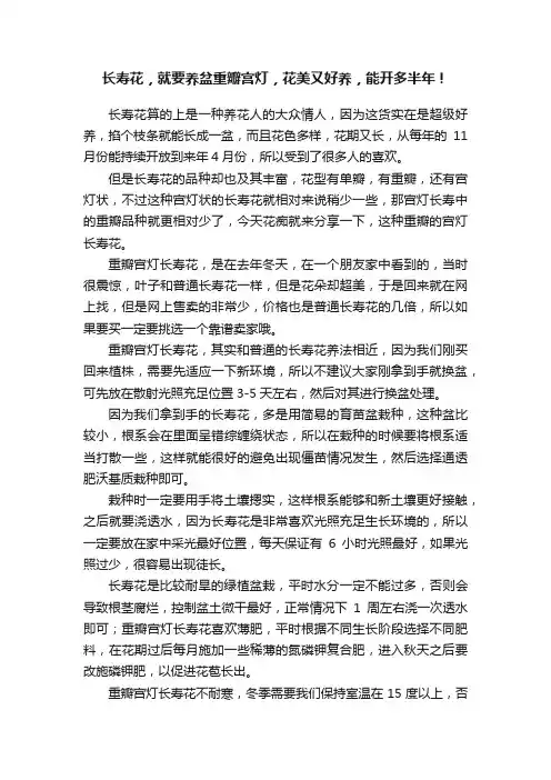 长寿花，就要养盆重瓣宫灯，花美又好养，能开多半年！