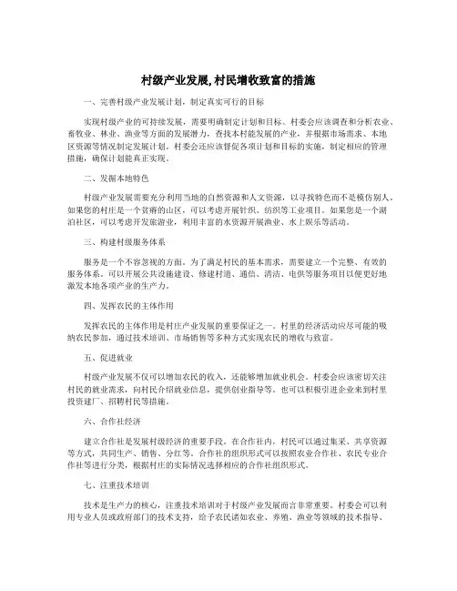 村级产业发展,村民增收致富的措施