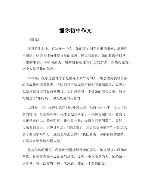 懂你初中作文