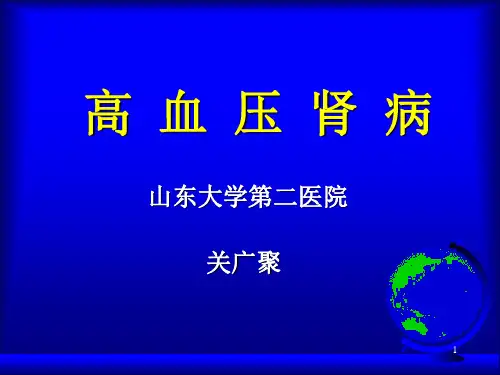 高血压肾病PPT课件
