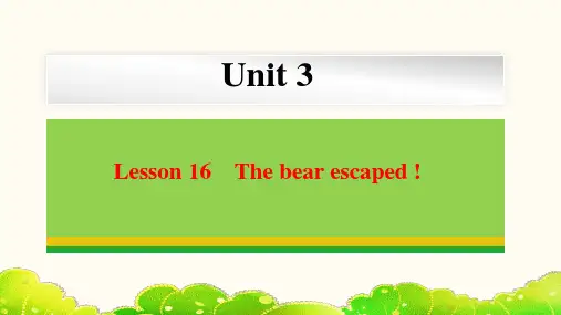 Unit 3 Lesson 16 The bear escaped !  课件 冀教版英语八年级下册
