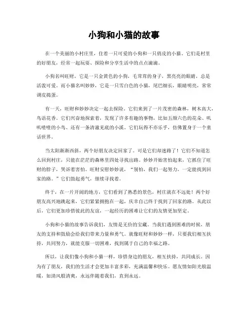 小狗和小猫的故事