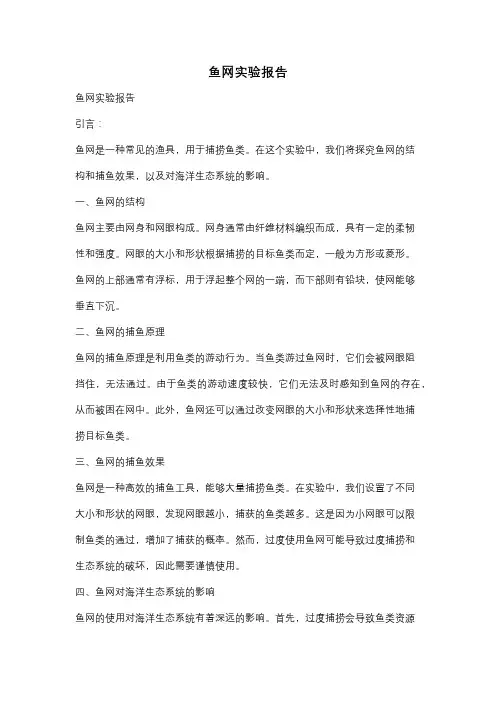鱼网实验报告