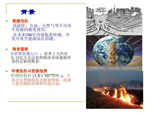 纤维素酶的研究进展