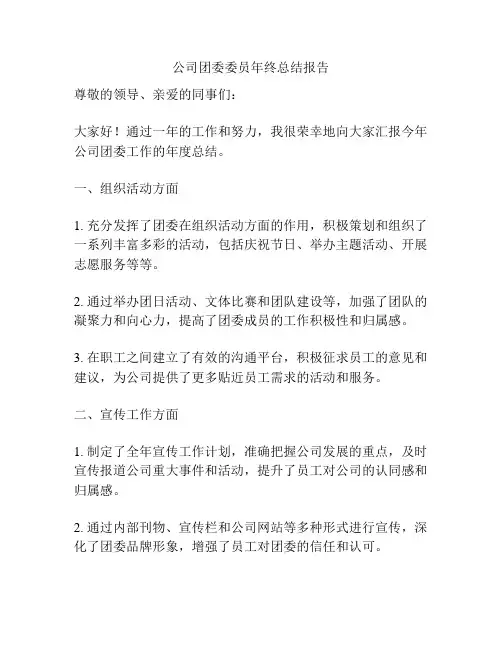 公司团委委员年终总结报告