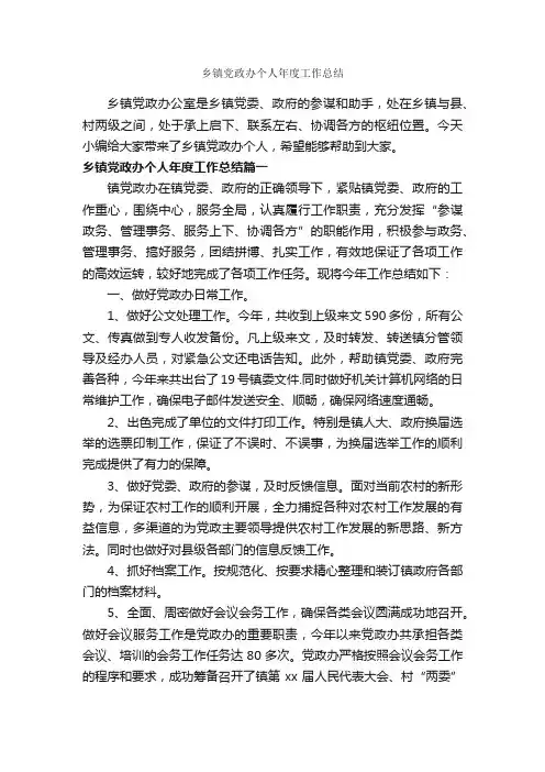 乡镇党政办个人年度工作总结_年终工作总结_