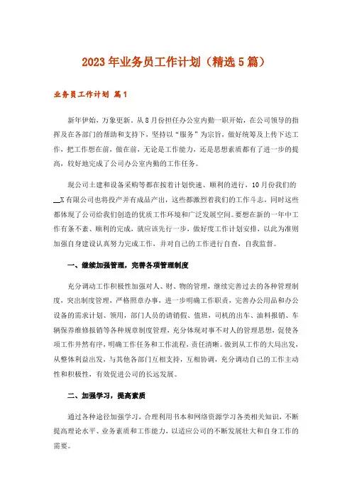 2023年业务员工作计划(精选5篇)