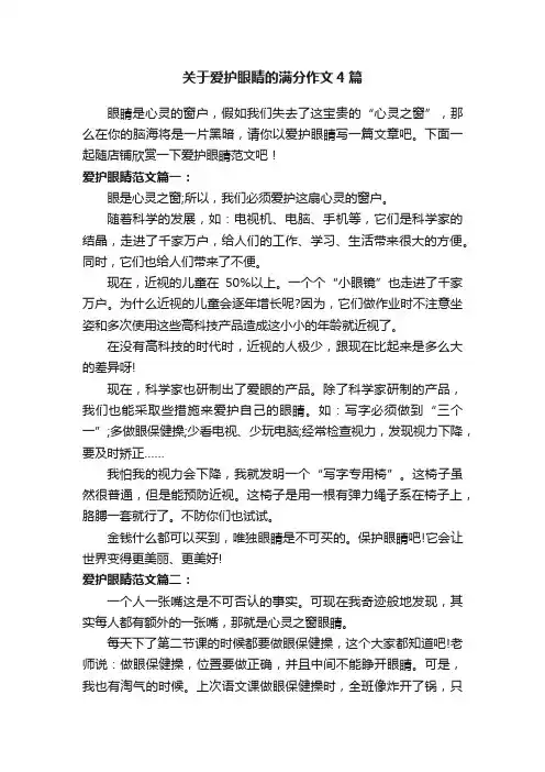 关于爱护眼睛的满分作文4篇