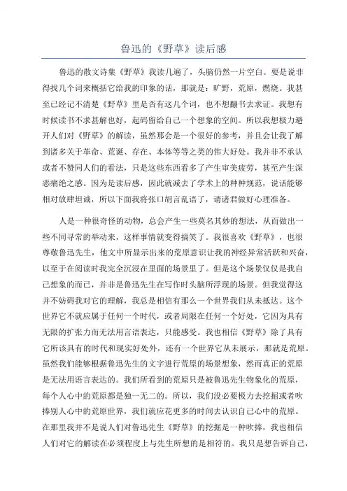鲁迅的《野草》读后感