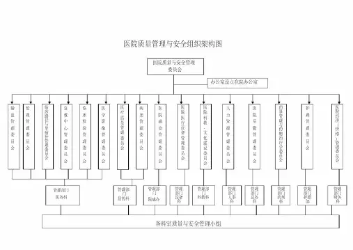  二甲医院质量管理与安全组织架构图