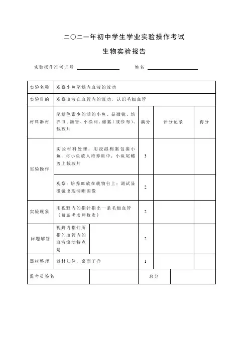 山东省聊城市莘县2021年八年级生物实验操作考试观察小鱼尾鳍内血液的流动实验报告