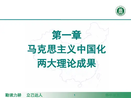毛概知识点整理年版ppt课件
