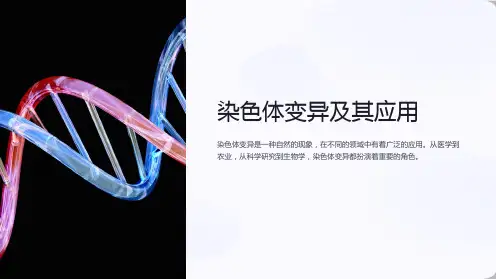 染色体变异及其应用