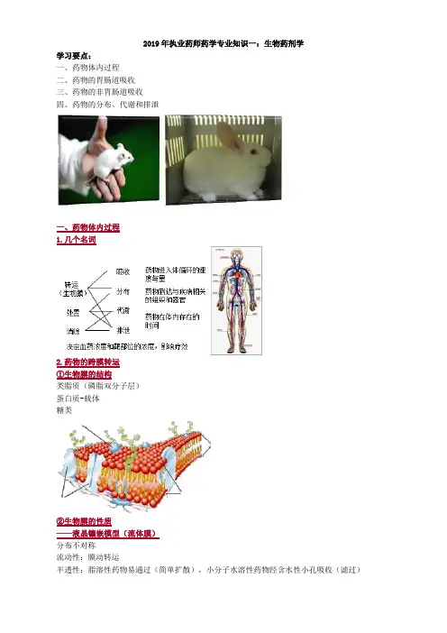 2019年执业药师药学专业知识一：生物药剂学