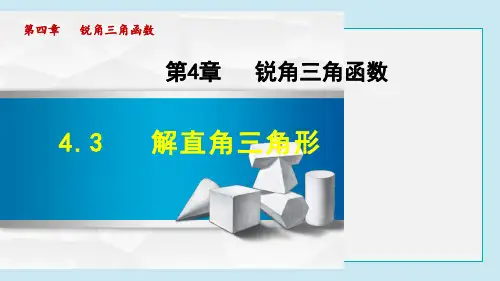 解直角三角形PPT课件