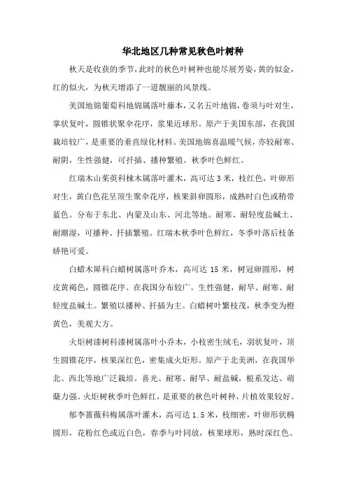 华北地区几种常见秋色叶树种