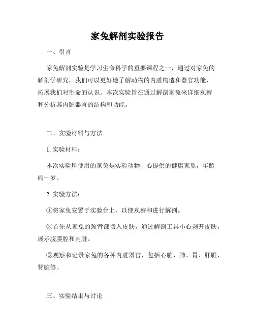 家兔解剖实验报告