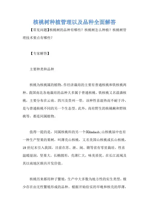 核桃树种植管理以及品种全面解答