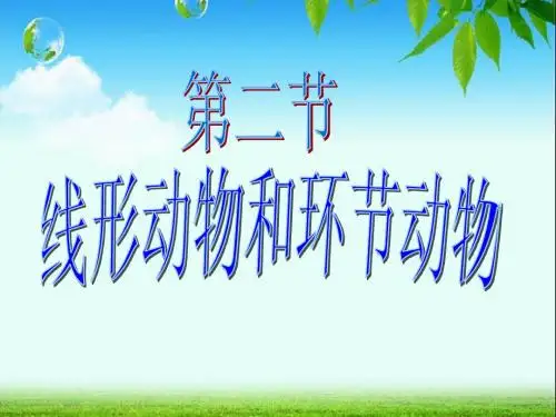 第二节 线形动物和环节动物