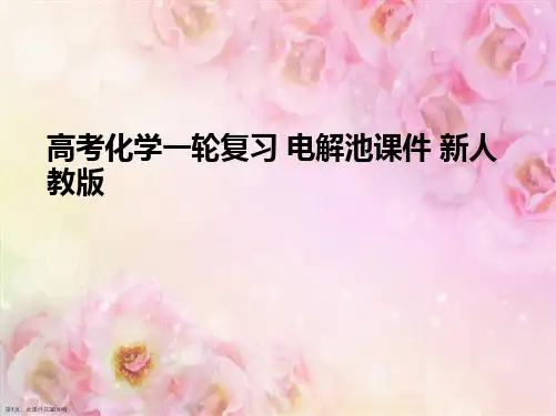 高考化学一轮复习 电解池 新人教版
