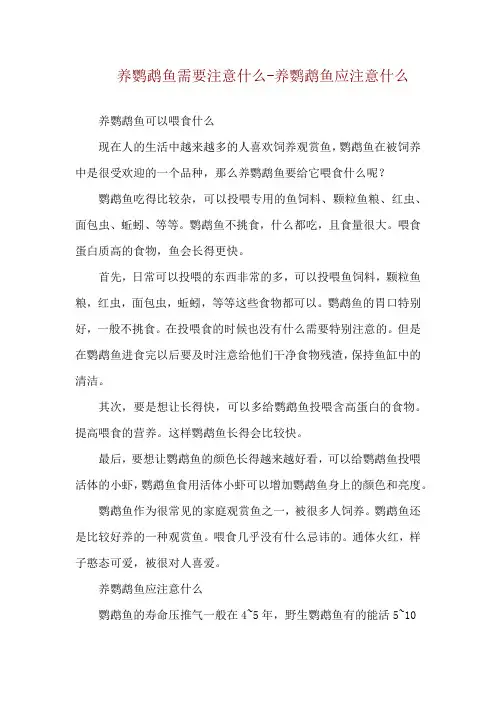 养鹦鹉鱼需要注意什么-养鹦鹉鱼应注意什么