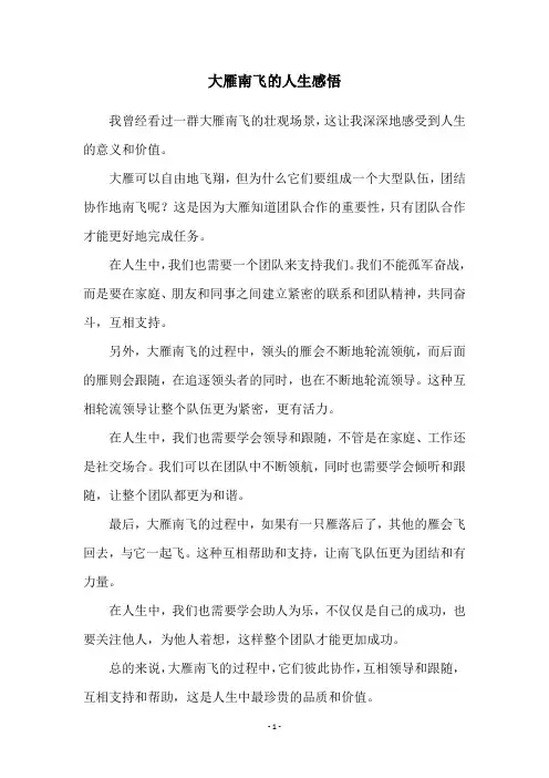 大雁南飞的人生感悟