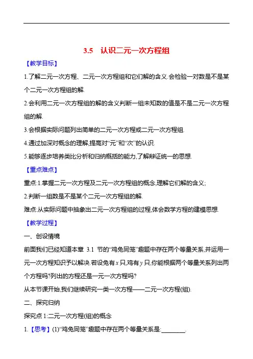 3.5 认识二元一次方程组  教案 数学湘教版七年级上册(2024年)新版教材