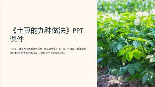 《土豆的九种做法》课件