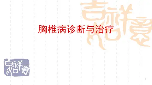 胸椎病诊断与治疗PPT课件