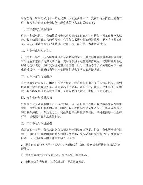 铝电解工个人工作总结范文