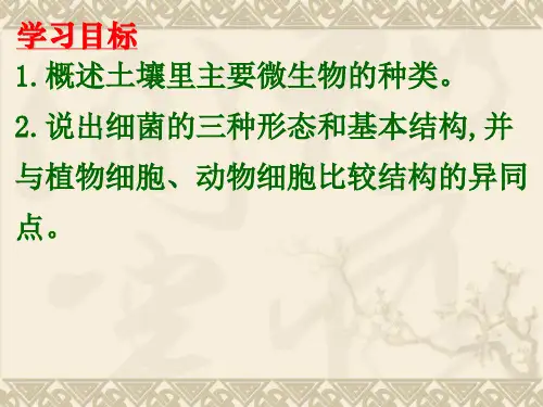 《土壤里的微生物》课件