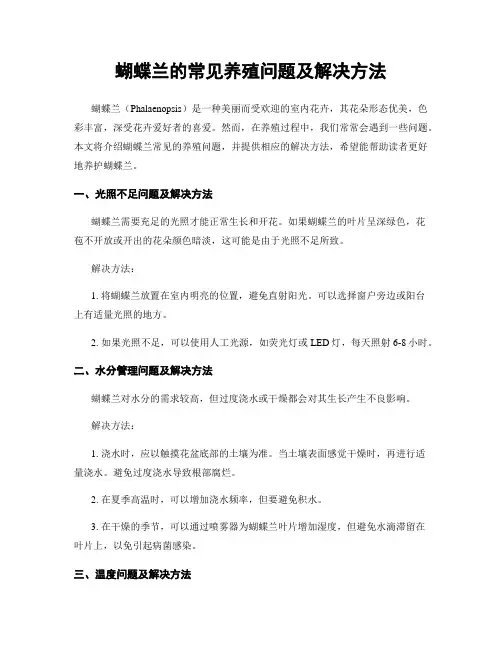 蝴蝶兰的常见养殖问题及解决方法