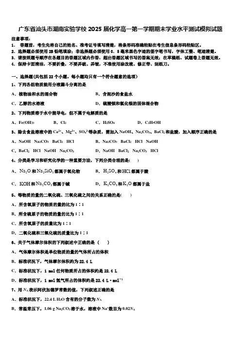 广东省汕头市潮南实验学校2025届化学高一第一学期期末学业水平测试模拟试题含解析