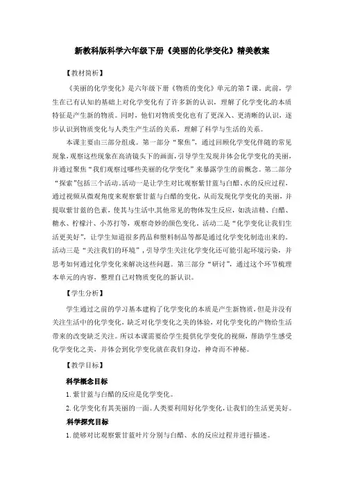 新教科版科学六年级下册《美丽的化学变化》精美教案