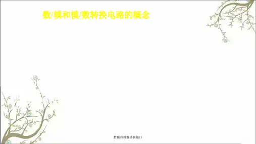 数模和模数转换接口