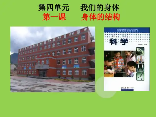 四年级上册科学课件-4.1身体的结构 教科版(共21张PPT) (1)