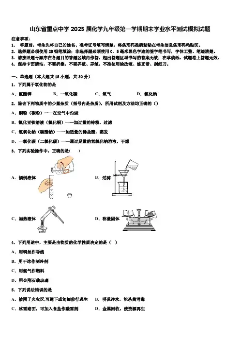 山东省重点中学2025届化学九年级第一学期期末学业水平测试模拟试题含解析