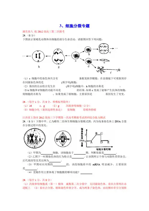 细胞分裂专题