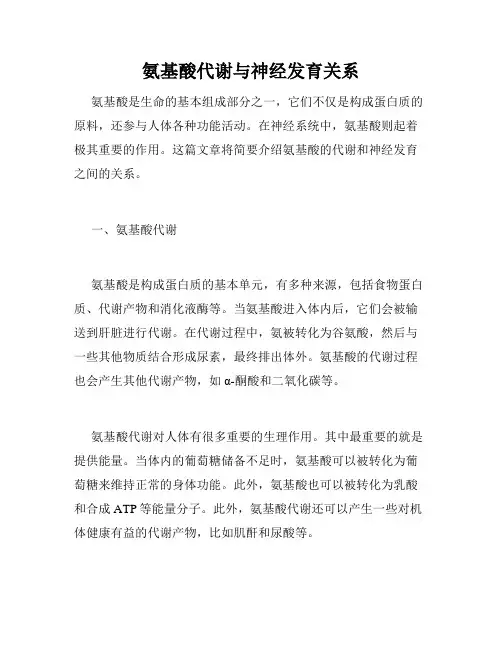 氨基酸代谢与神经发育关系