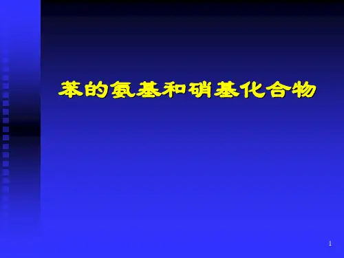 苯的氨基硝基化合物(2)