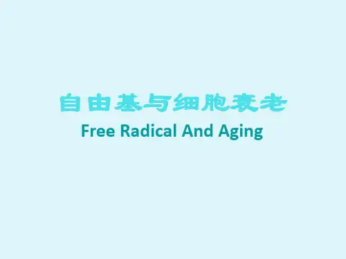 自由基