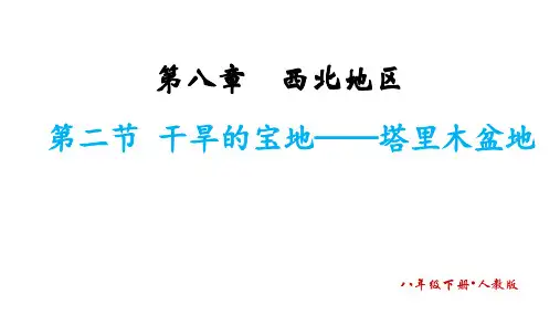8.2+干旱的宝地——塔里木盆地课件-2023-2024学年人教版地理八年级下册
